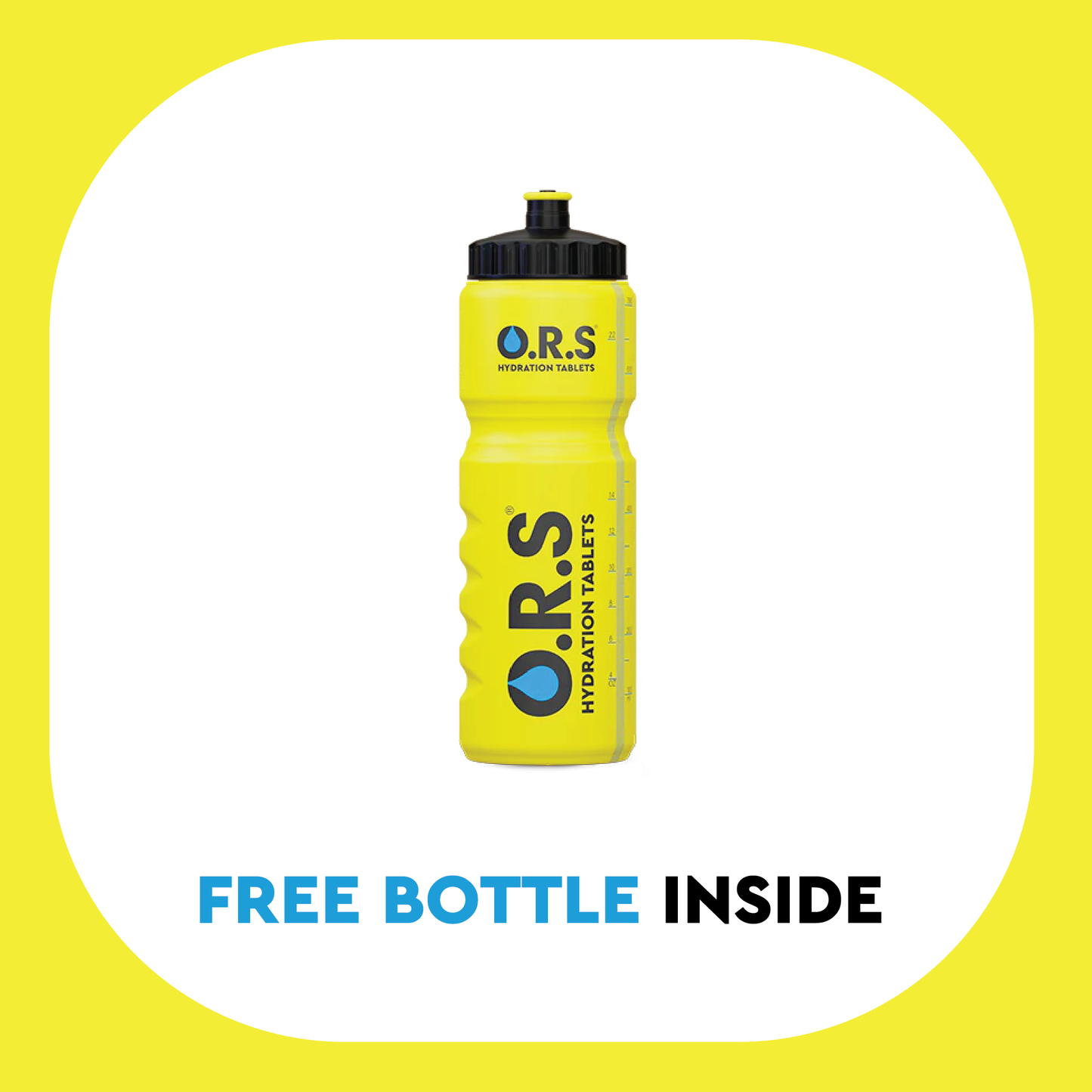 Founder’s Favourites