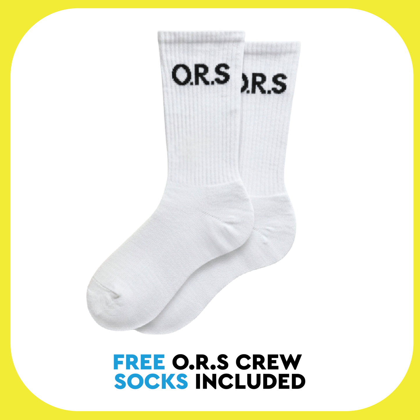 Daily Focus & Wellbeing Bundle