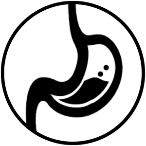 Stomach interior cartoon icon